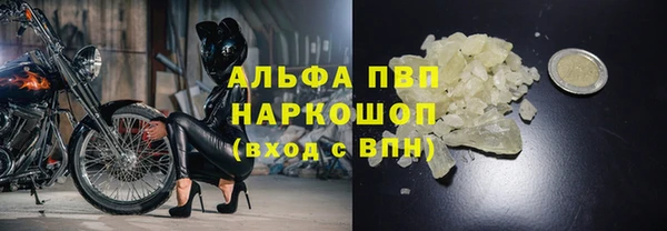 прущие крисы Аркадак