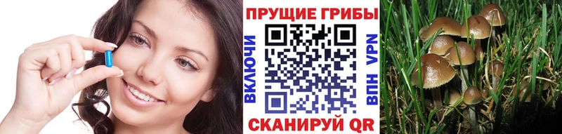 Галлюциногенные грибы прущие грибы  что такое наркотик  Миллерово 